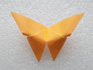 Butterfly origami într-o fotografie detaliată și clasa master video