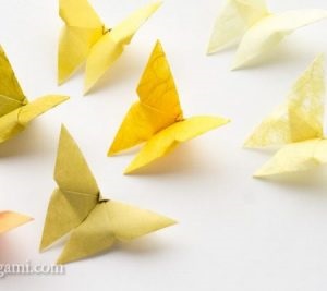 Butterfly origami într-o fotografie detaliată și clasa master video