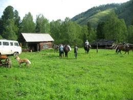 Baza rasei nomadului raionul Shebalinsky Satul Up-Apshyakhta Muntele Altai