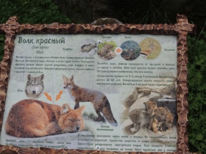 Nagy túra Novoszibirszk Zoo)