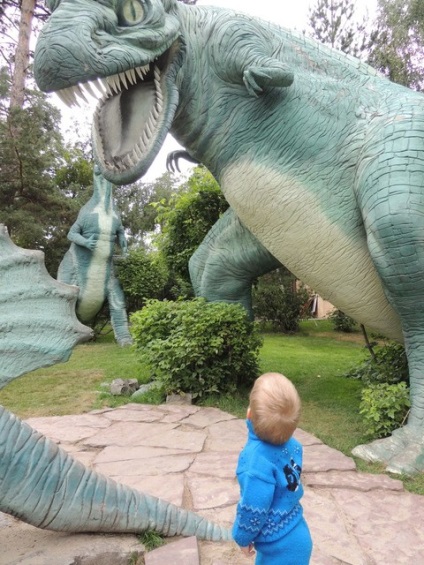 Excursie excelentă la grădina zoologică din Novosibirsk)