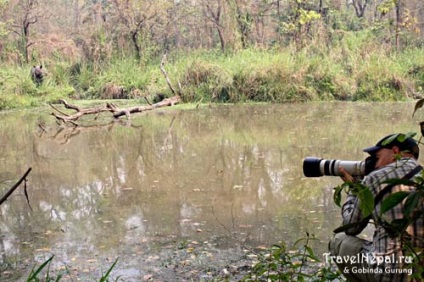 Chitwan - Nepál Nemzeti Park, az a hely mindenki számára Nepál útmutató