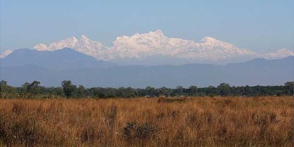 Chitwan este cel mai popular parc național din Nepal