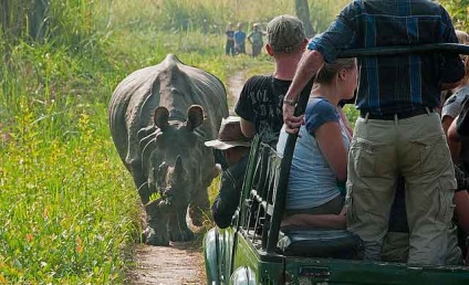 Chitwan este cel mai popular parc național din Nepal