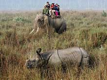 Chitwan este cel mai popular parc național din Nepal