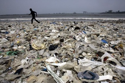 Ahhoz, hogy tiszta a strand, mi volt, hogy 5 millió kilogramm hulladék