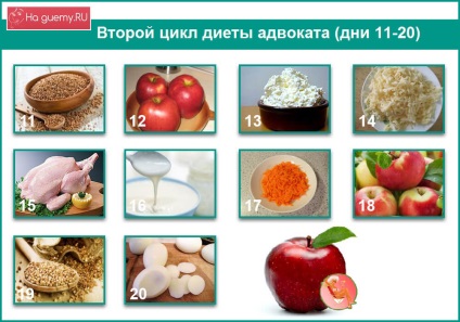 Dieta avocatului timp de 40 de zile - meniu detaliat, rezultate, recenzii ale celor care piardă în greutate