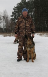Formarea de câini Ramenskoye (districtul Ramensky), teren de formare 