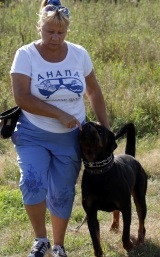 Formarea de câini Ramenskoye (districtul Ramensky), teren de formare 
