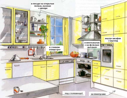 Praf de gandaci curata casa - comentarii si instructiuni de utilizare