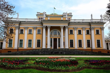 Palatul Blush-Paskevich, Homel