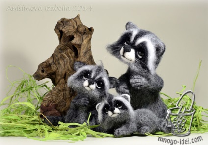 Raccoon, clasa de masterat pe felting