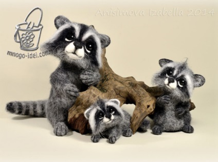 Raccoon, clasa de masterat pe felting