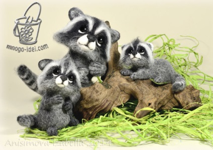 Raccoon, clasa de masterat pe felting