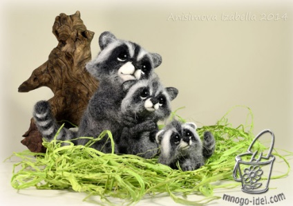 Raccoon, clasa de masterat pe felting