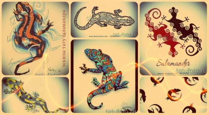 Schițe de tatuaj Salamander desene interesante pentru salamandrul tatuaj