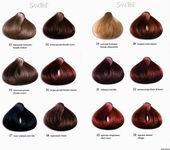 Etapele de colorare a părului (informații generale), 