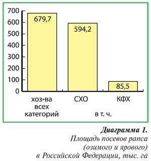 Vizualizare agrară zilnică - viol - o cultură strategică