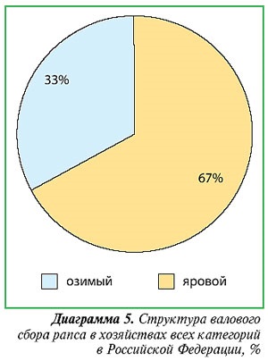 Ежедневно аграрна преглед - изнасилване - Култура Стратегически