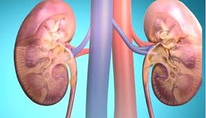 Glomerulonefrita de ultrasunete renale, tratament si diagnostic