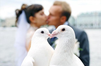A galambok az esküvő előnyeiről és hátrányairól