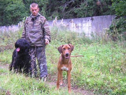 Hotel for Dogs Kennel Keeper - olcsó Túlexponálási kutyák Moszkva (hotel csak