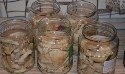 Pregătirea de bomboane delicioase din ciuperci uscate pentru rețetele de iarnă pentru decapare, decapare și congelare