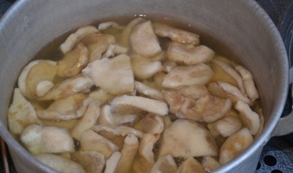 Főzni egy finom előforma száraz tej gombák téli receptek pácolás, a sózás és fagyasztás