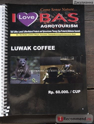 Indonézia, Bali, a termelés farm Luwak kávé (kopi Luwak) Szeretem bas agrotourism - «Miért
