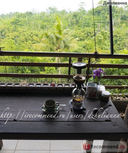 Indonezia, bali, ferma de cafea luvak (kopi luwak) Iubesc bas agroturism - 