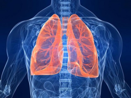 Hogyan asztma kezelésére gyógynövények