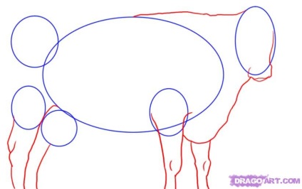 Cât de ușor este să desenați o vacă în creion pas cu pas