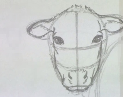 Hogyan könnyű felhívni a tehén ceruzával szakaszokban