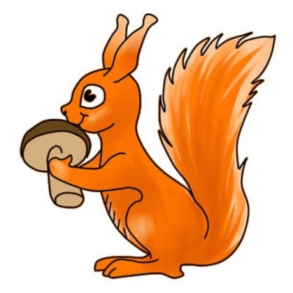 Cum să atragă o veveriță în creion pas cu pas pentru începători