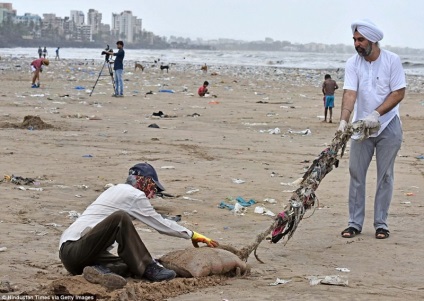 Mint egy hétköznapi ember törölte a strand 5 millió kg hulladék Indiában