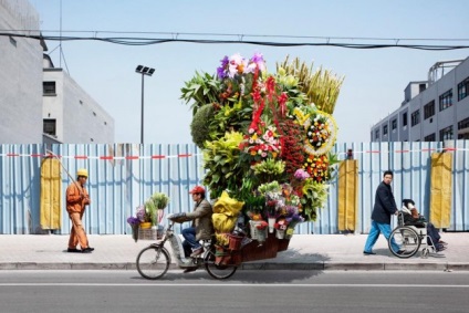 Hogyan kell elvégezni a orchideák a síkon, a járat