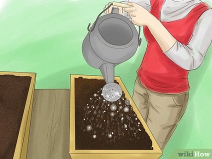 Cum să plantezi o grădină de bucătărie