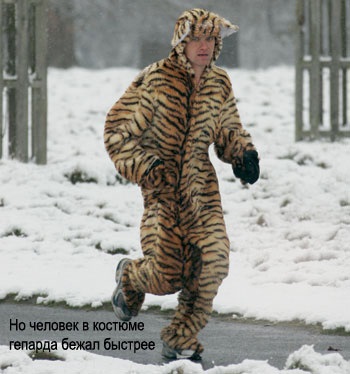 Cum să organizați jogging în timpul iernii