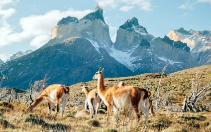 Cum să călătorești în Patagonia - Travel Club