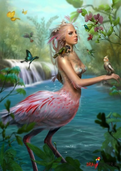 A képen látható nő madár (Flamingo)