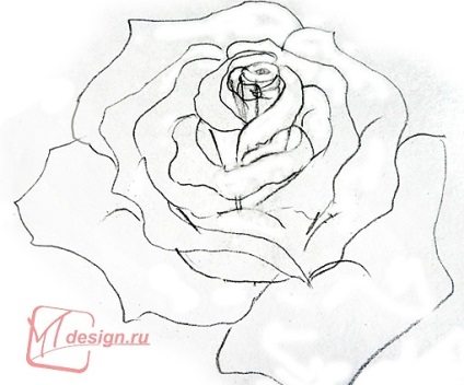 Cum sa faci o schita a unui trandafir in creion - clase de maestru - pentru artisti