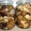 Cum să păstreze podberezoviki pentru locul de iarnă gustos și util, ciuperci
