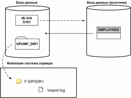 Cum se creează haldele în oracol folosind pompa de date