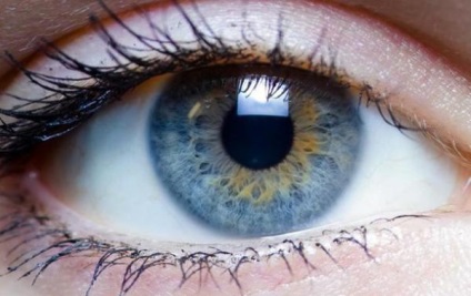 Cum de a alege lentile de contact pentru ochi mai bine, soluție, ridica corect
