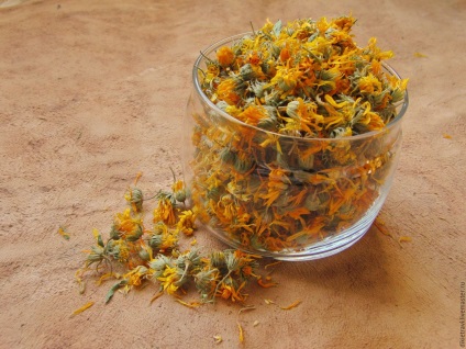 Proprietăți medicinale de calendula - beneficii de calendula ed.