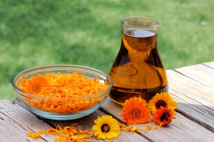 Proprietăți medicinale de calendula - beneficii de calendula ed.