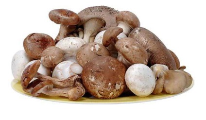 Calorii cartofi cu retete de ciuperci cu fotografii