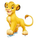 Poze regele leului