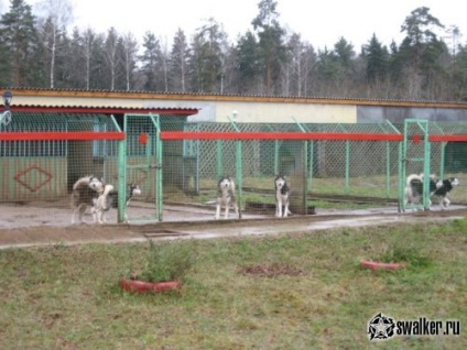 Dog kennel - vörös csillag - az kiterjedésű a Szovjetunió