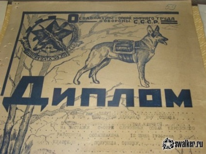 Dog kennel - vörös csillag - az kiterjedésű a Szovjetunió